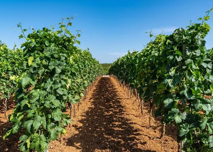 Appartement Tonka And Lara With Shared Pool